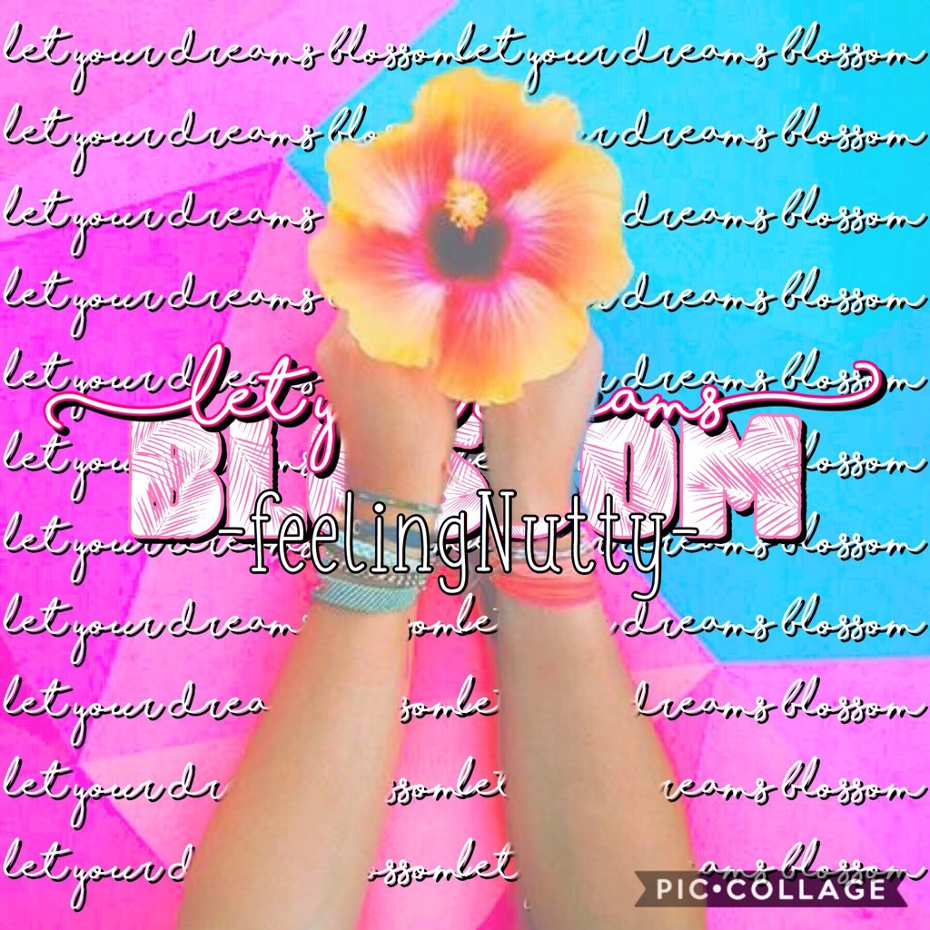🌺Tap Me🌺

Ok... MAJORLY need a theme!! I think I'm gonna do flowers/floral. FYI.. LOVING THIS ONE!!! ❤️

My contest is going to end after a certain amount of collages have been submitted. GOODLUCK!! 😘