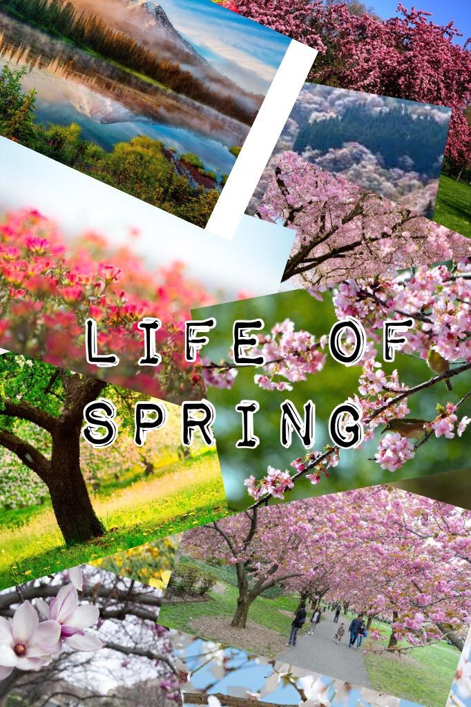 Life of spring 
#spring