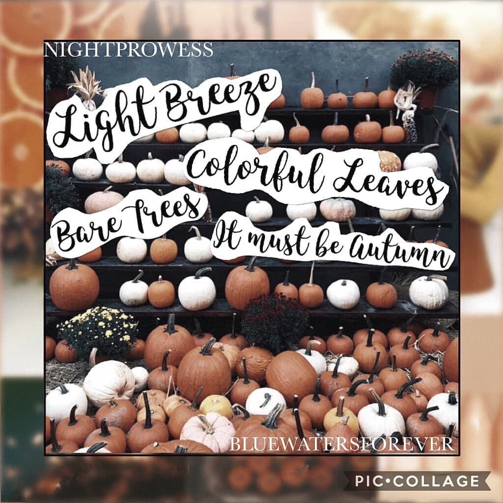 🍂Collab with Bluewatersforever🍂
You tapped! Comment ✨ if you did. Also, Lauren I'm sorry and everyone else I'm sorry. Please see remixes to see my side of the story....