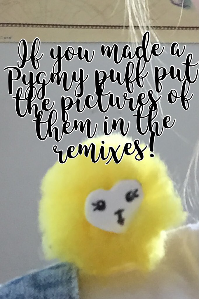 If you made a Pygmy puff put the pictures of them in the remixes!