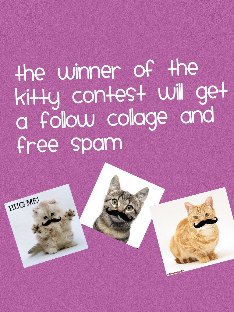 The winner of the kitty contest will get a follow collage and free spam
