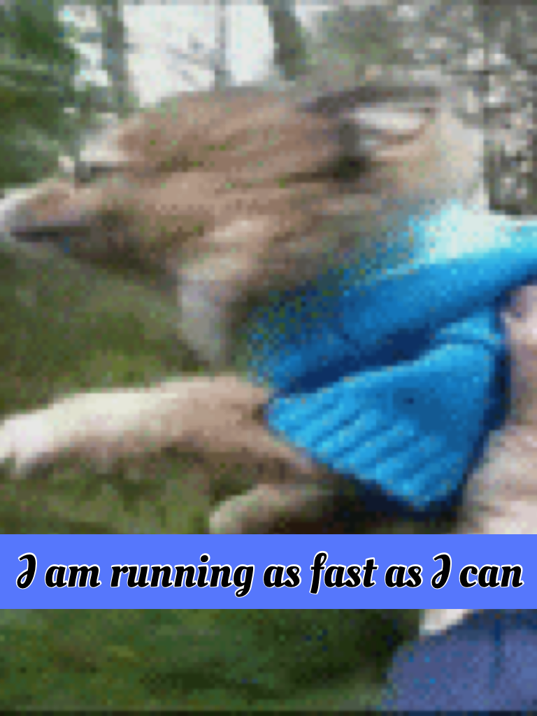 I am running as fast as I can 