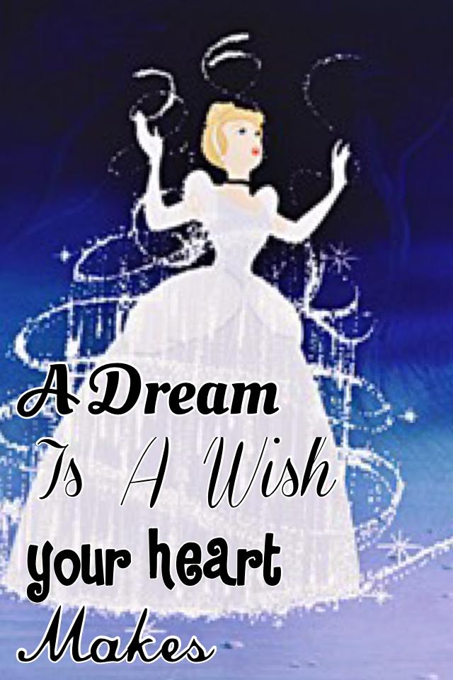 A dream is a wish your heart makes ✨💫⭐️