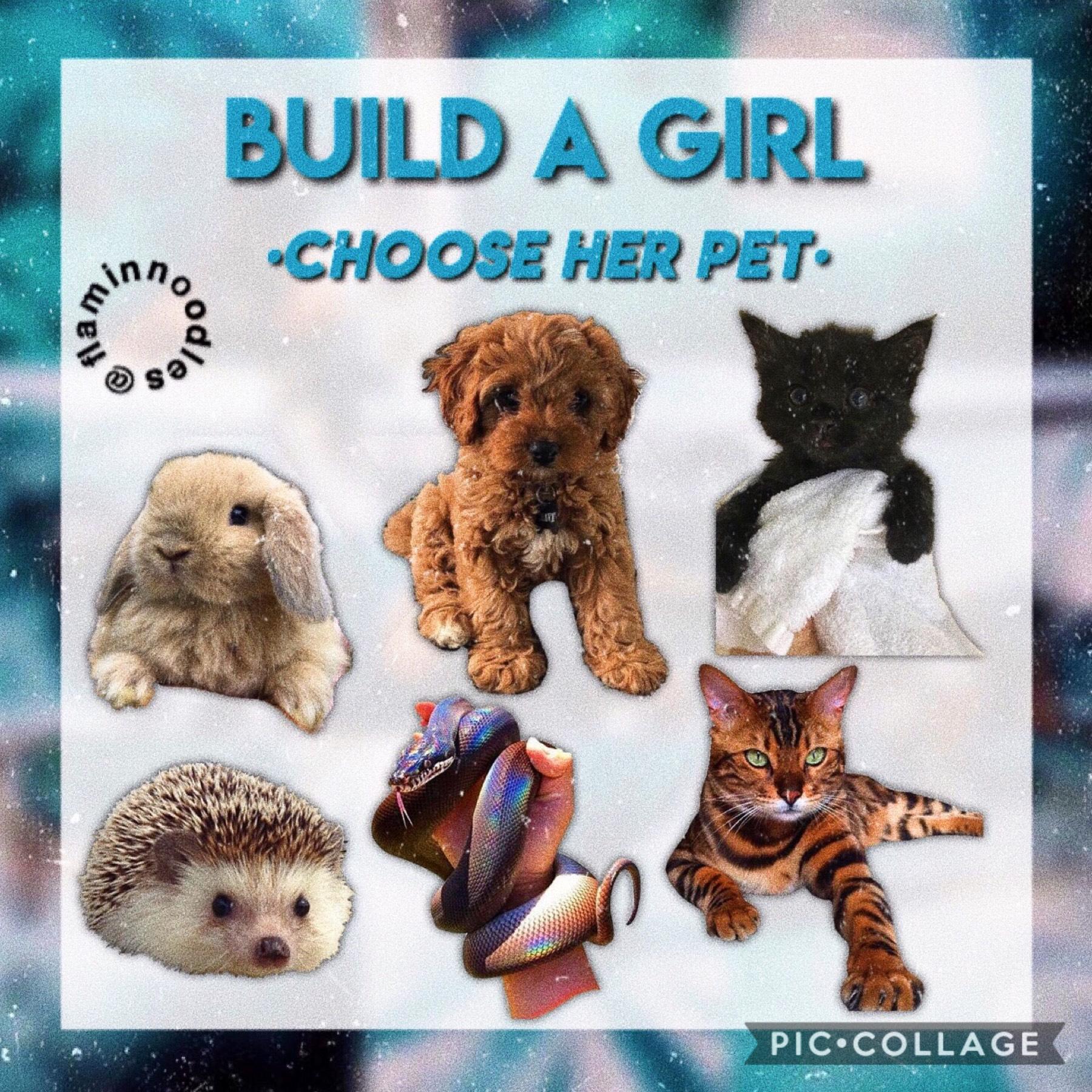 ✨Tap✨ 
This is THE LAST part (part 3) of this little theme I was finishing up aka Build A Girl - anyways idk if I’ll be posting next week but stay tuned!
QOTD: what animal would you choose? 