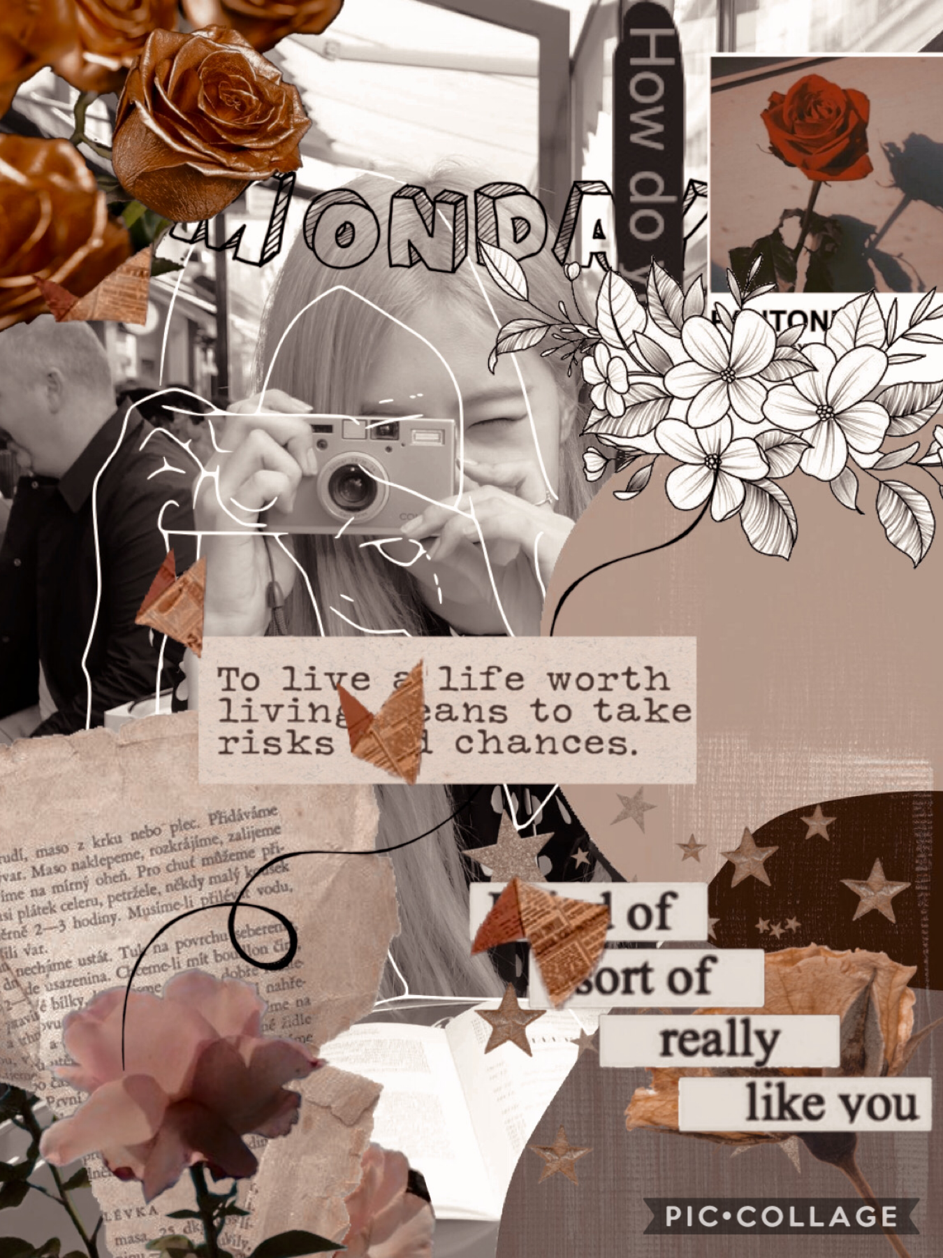 Collage by -mycupofrabbits
