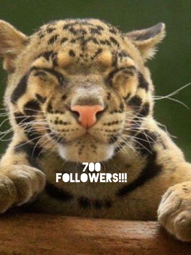 700 followers!!! Thank you all so much.