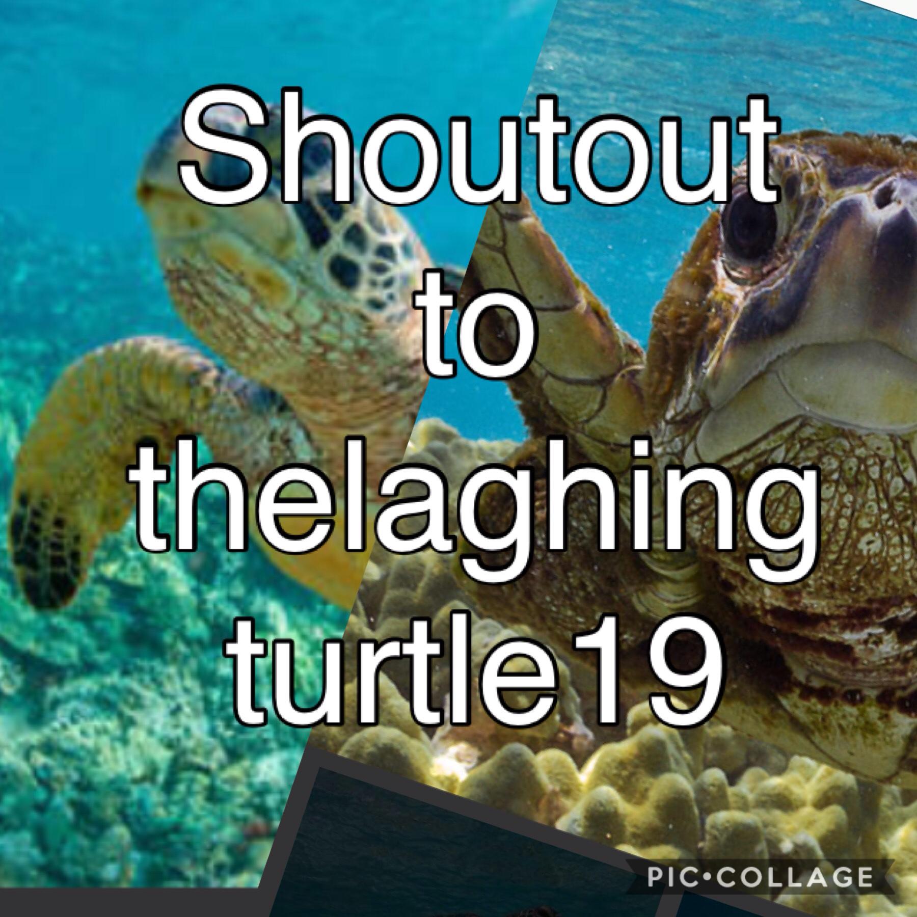 Shoutout to
Thelaghingturtle19