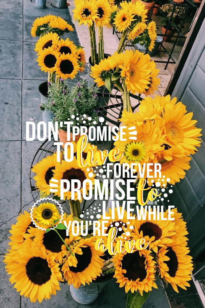 •tap•
•happy friday!✨•
•🌻💫🌻•
•tell someone something nice today!💛•
•sunflowers are my favourite flowers😇•
•qotc: when's your birthday?🌟•