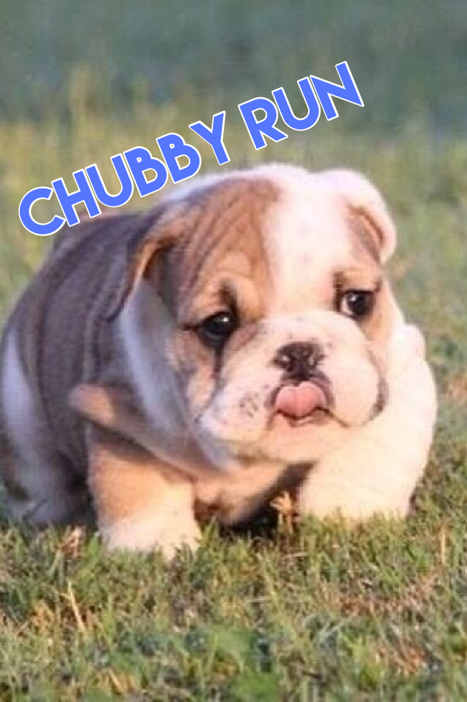 Chubby run