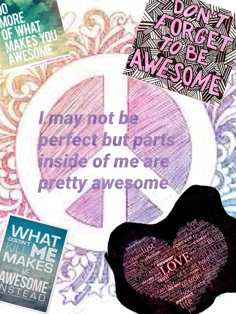 I may not be perfect but parts inside of me are pretty awesome