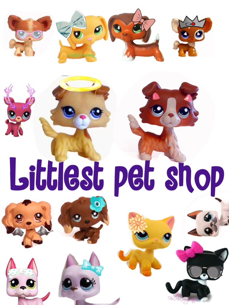 Littlest pet shop