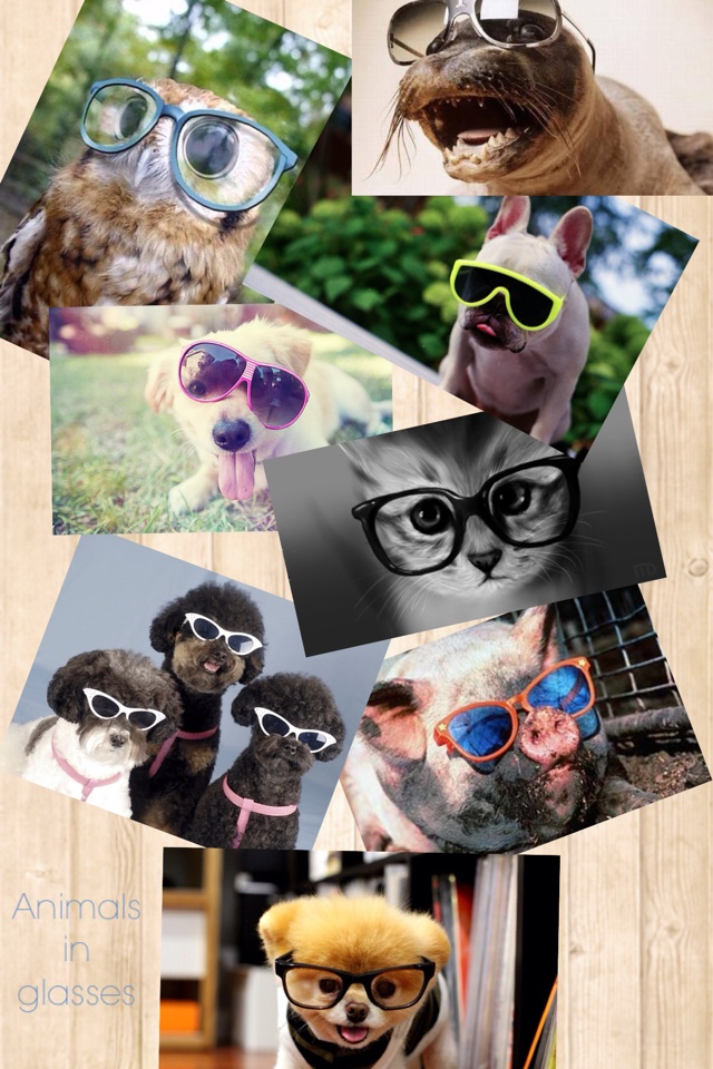 Animals in glasses