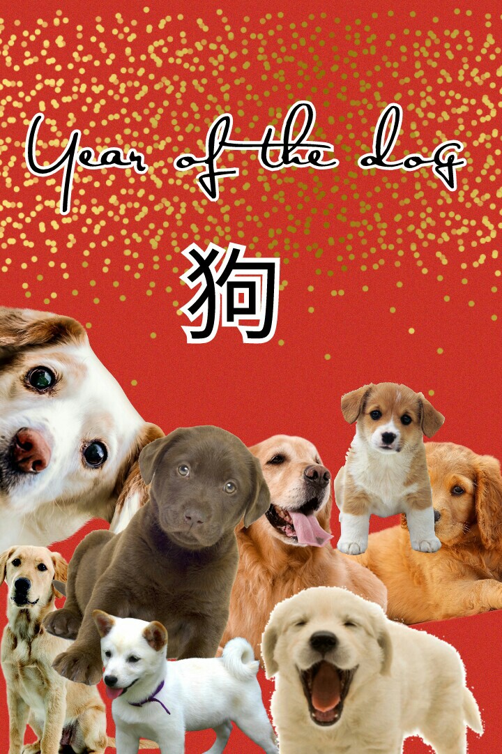 狗 means dog in chinese ( i think) 😉😉😉