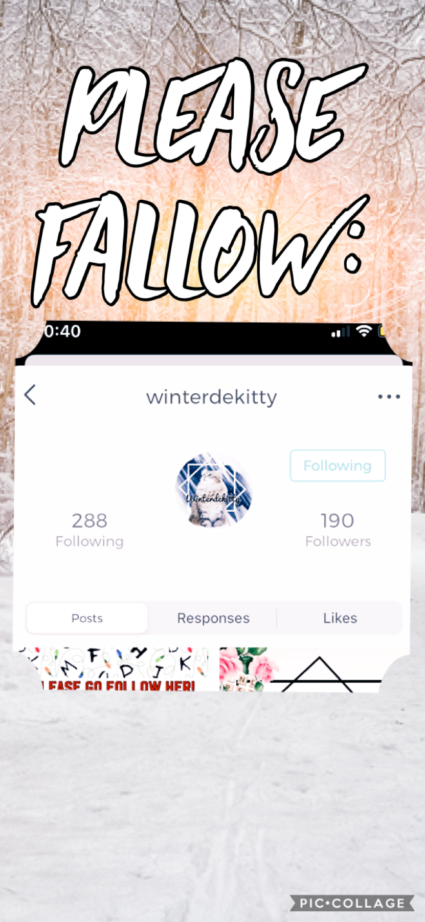 Fallow this person please, and check out her account! Very talented posts on there! ʕ￫ᴥ￩ʔ