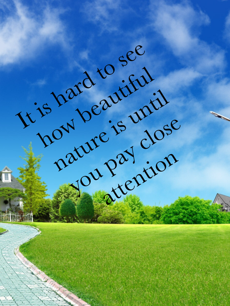 It is hard to see how beautiful nature is until you pay close attention 