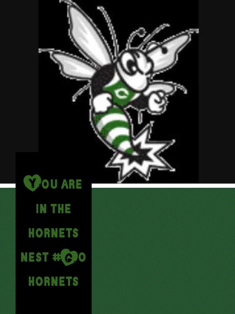 You are in the hornets nest #Go hornets