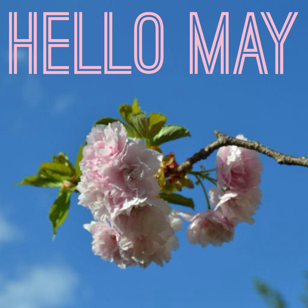 Hello May 🌸