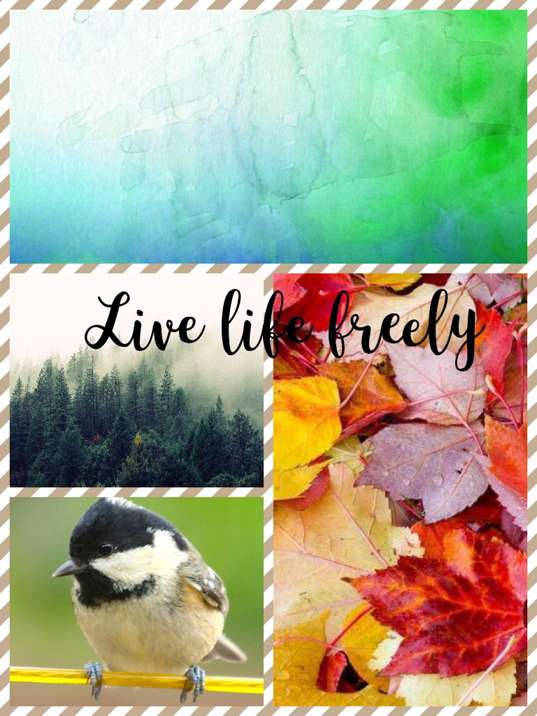 "Live life freely."