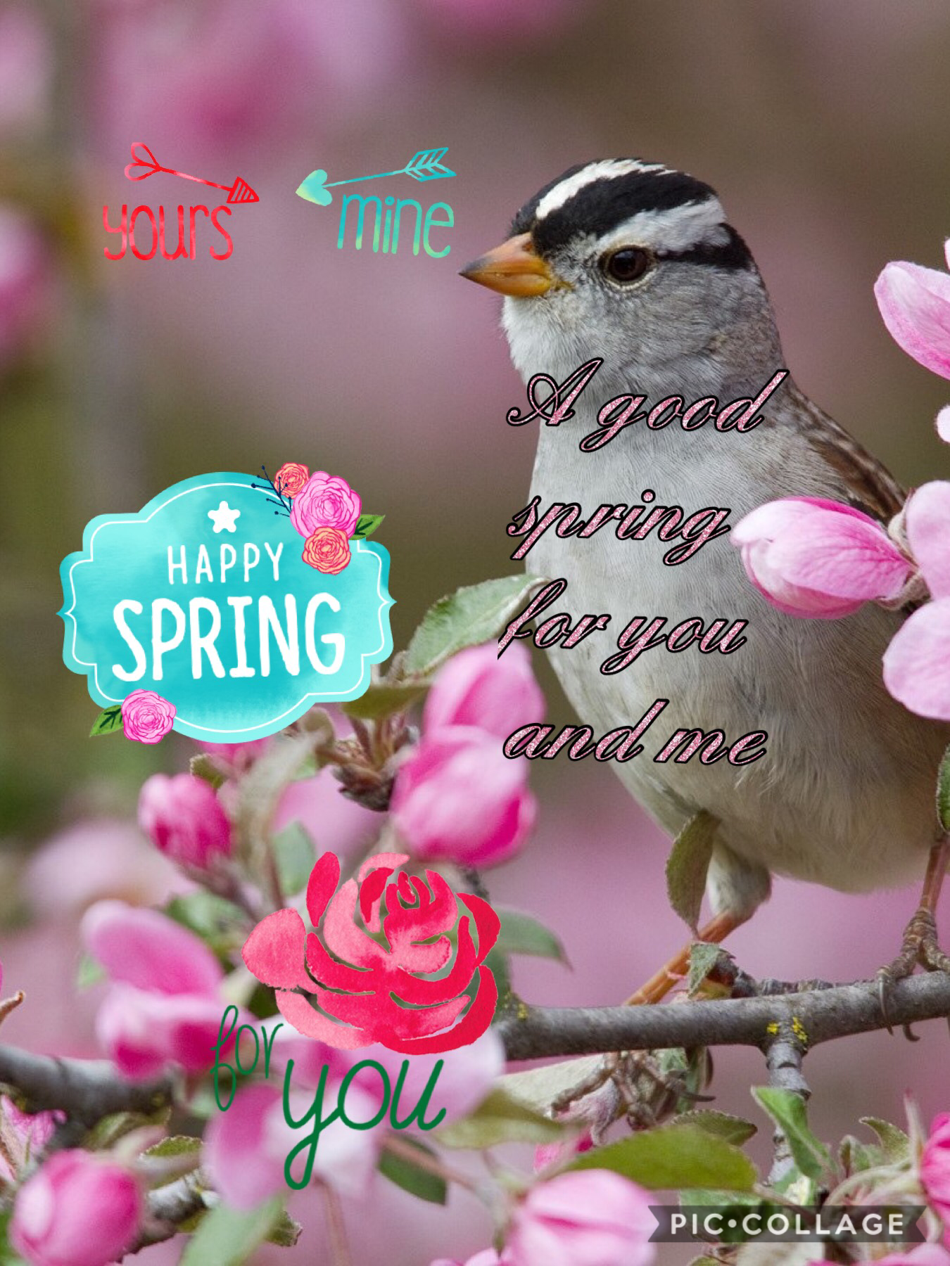Your spring