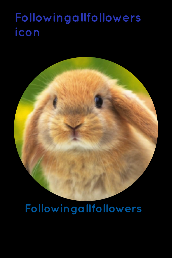 Followingallfollowers icon