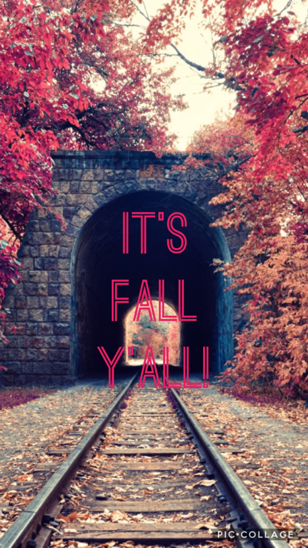 Happy Fall/ Winter LOL 🥶😂