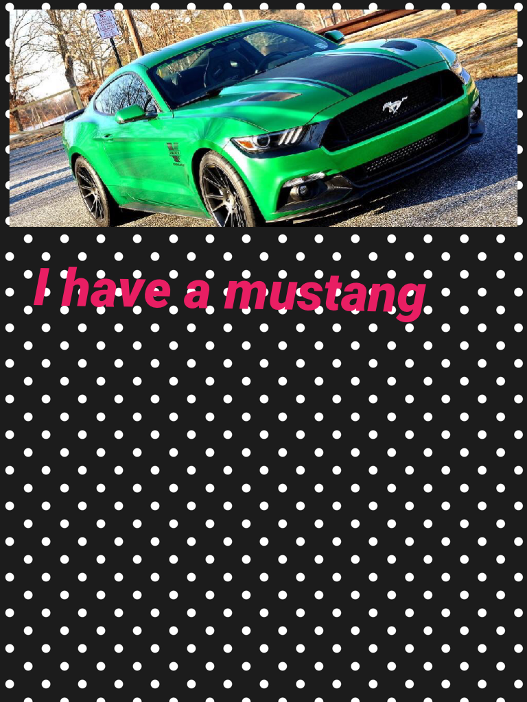 I have a mustang