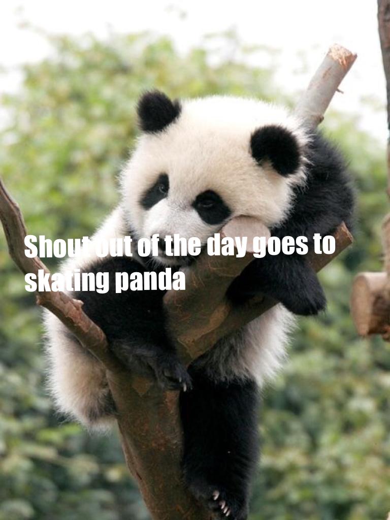 Shout out of the day goes to skating panda