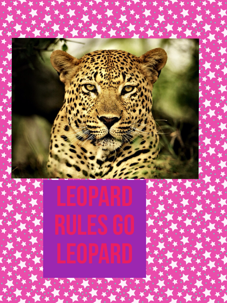 Leopard rules go leopard