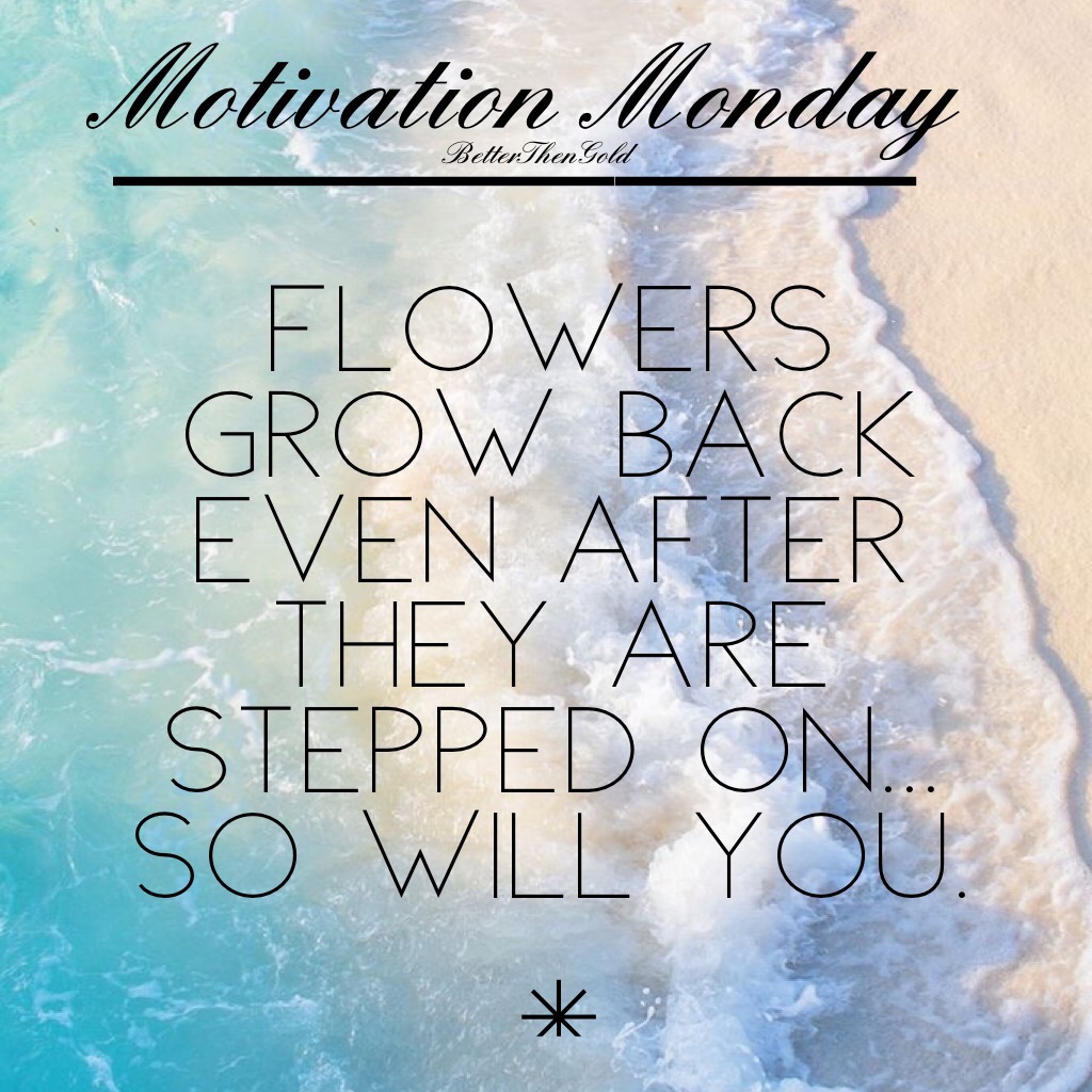 ✨Motivation Monday✨

Hope you all have an amazing week💕