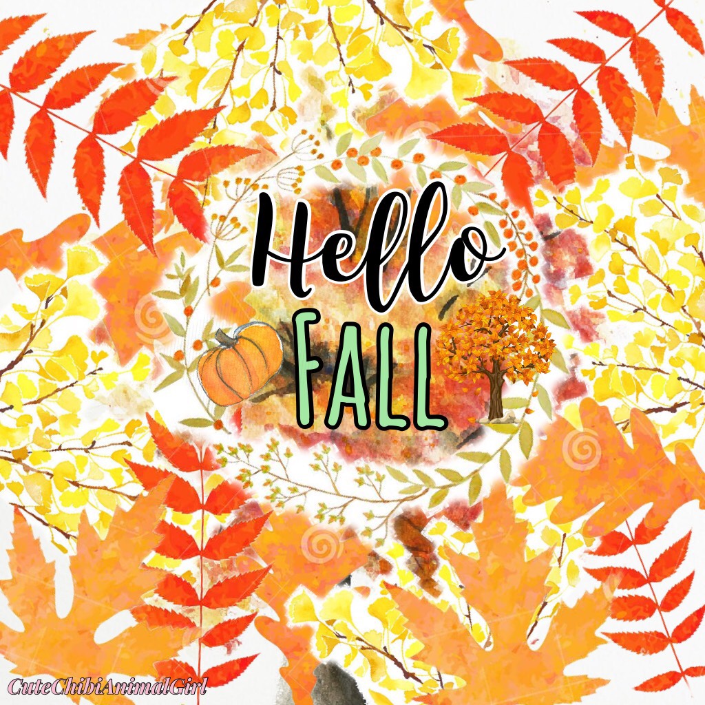 Fall is amazing don’t ya think...