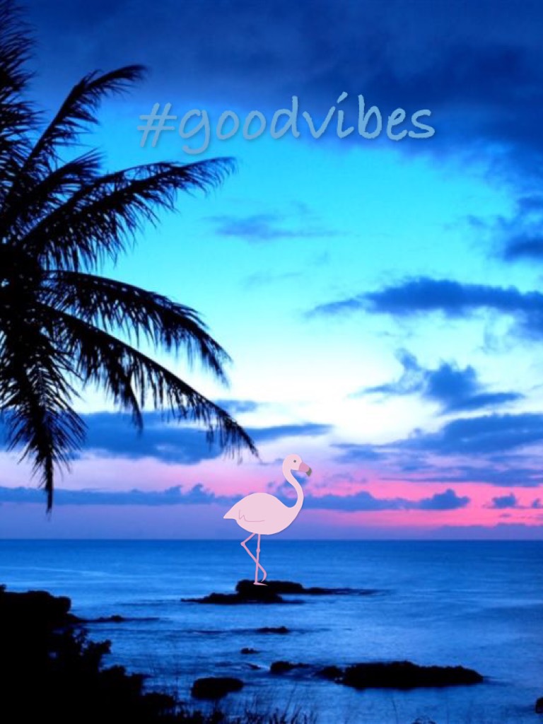 Good vibes good night 🌙 