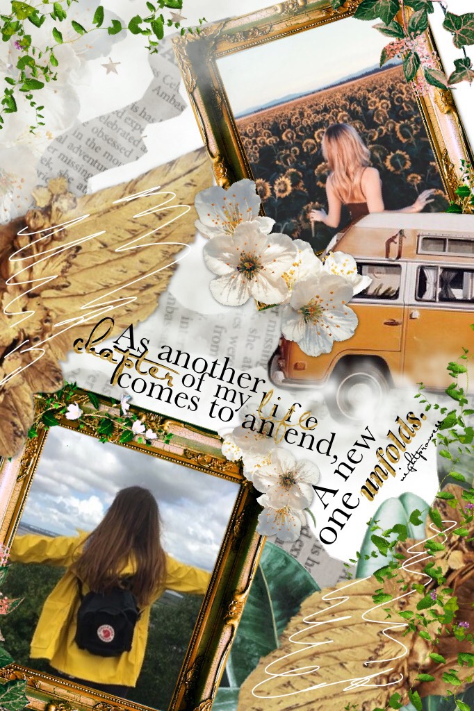 🌿💛Tap💛🌿
Wow. This collage is 3️⃣ contest entries and a collage for New Years. I feel very accomplished🤣. No, but in all seriousness, Happy New Years everyone. What are your resolutions for this year? Mine are in the remixes. Should I post some of my writi