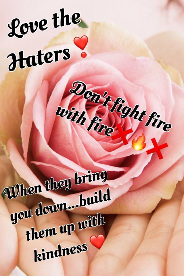 #positivityproject #lovethehaters