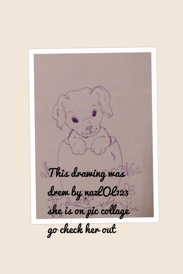 This drawing was drew by nazLOL123 she is on pic collage go check her out