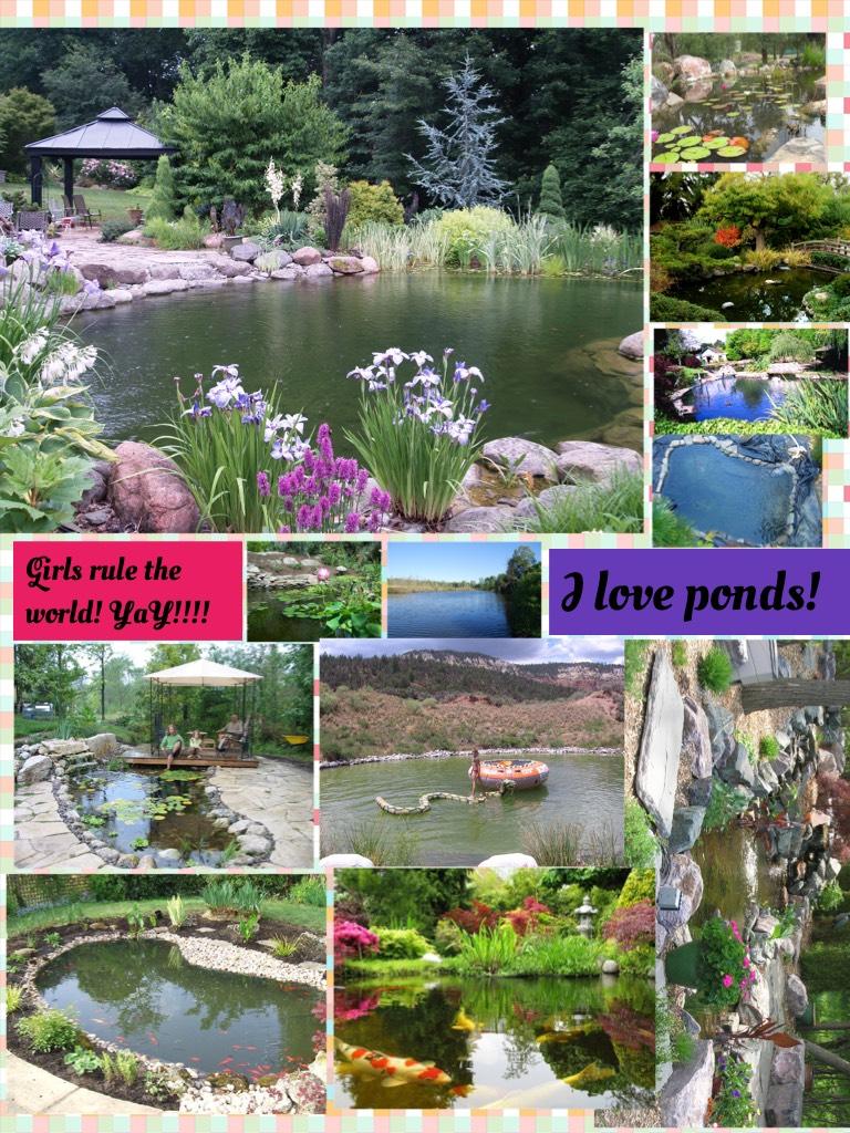 I love ponds!