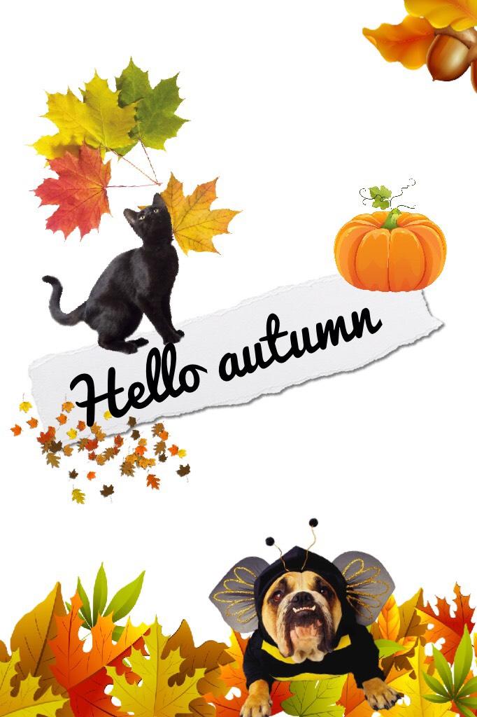 Yay autumns rolling in! I can't wait for hallloween and thanksgiving!😁 And of course my birthday 🎉!