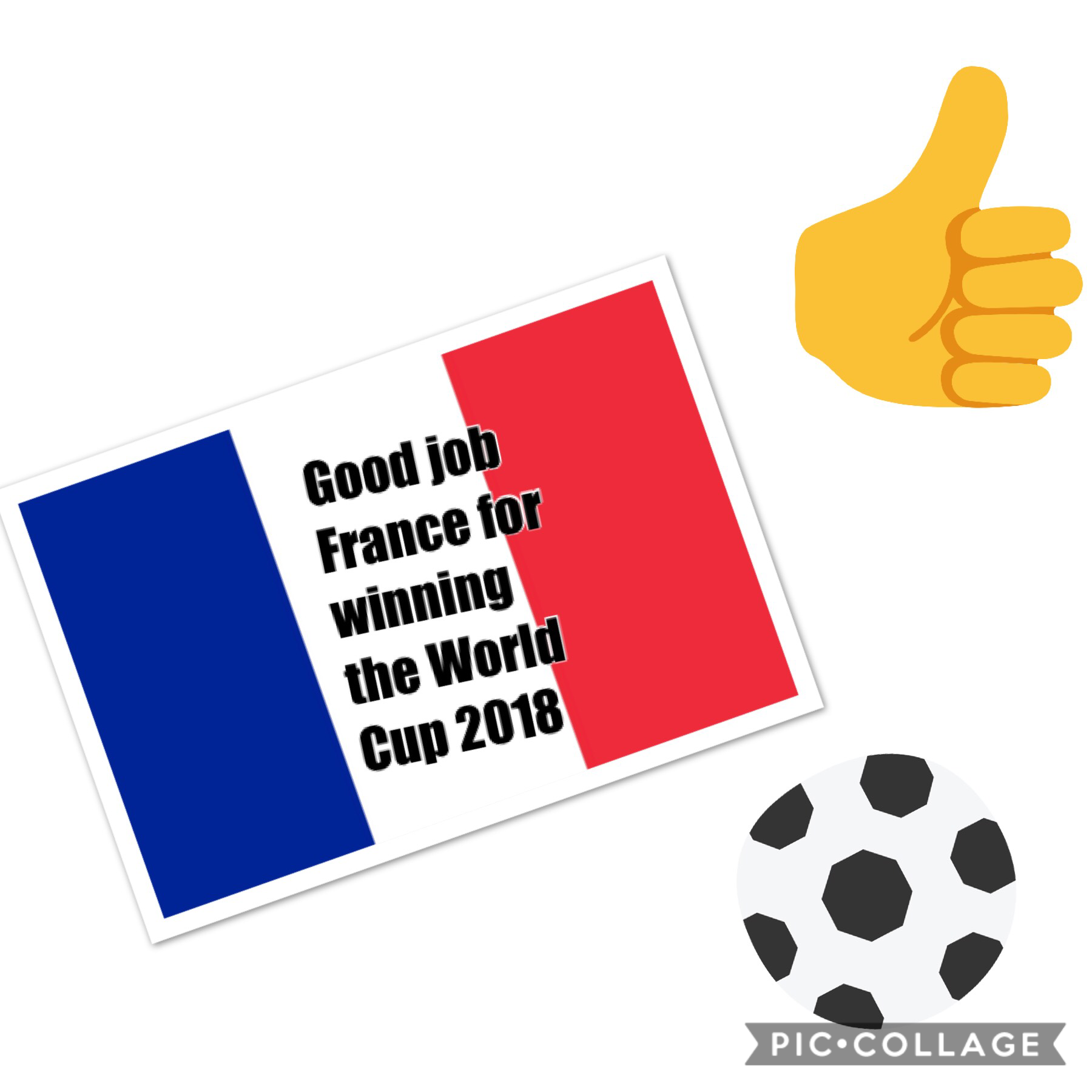 I wanted Portugal to win the World Cup but France did a really good job!