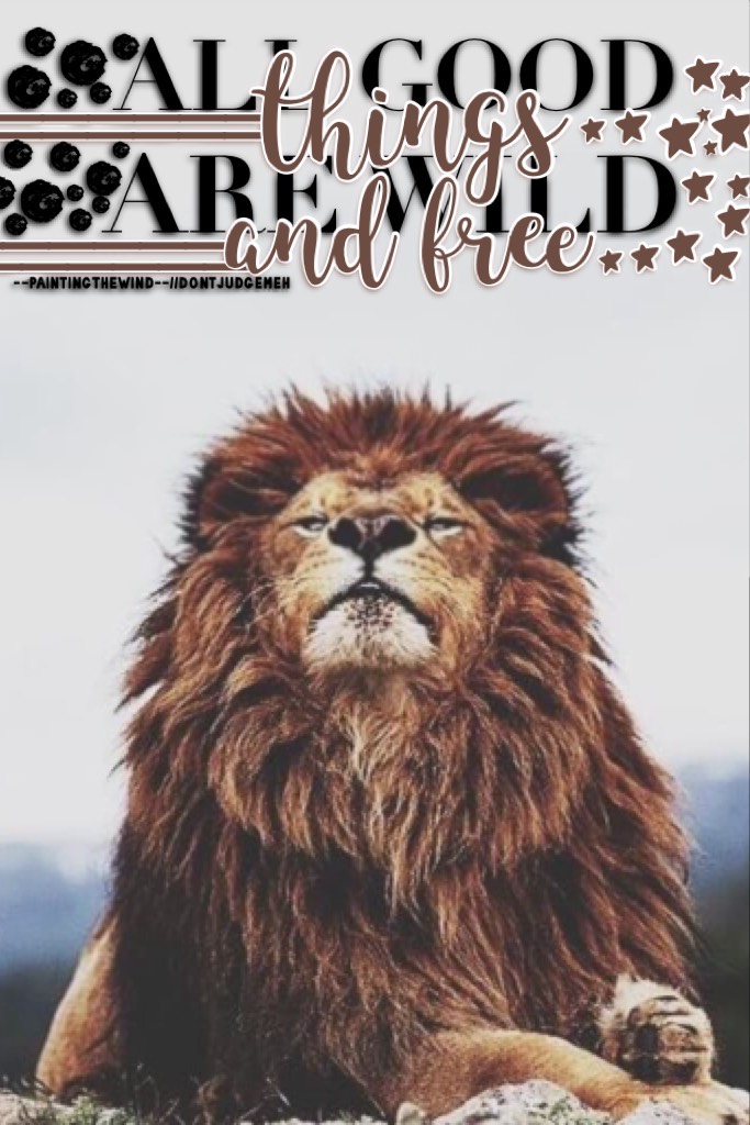 🦁Tapp Mehh🦁
Another collab? Ahh yes it is! 
This is a collab with the amazing --PaintingTheWind--!! She did quote+background and o did text! 
You should definitely follow her, her account is #goals!
It's late but I'm not tired Ahahah!
30•4•17 12:18 A.M 
B