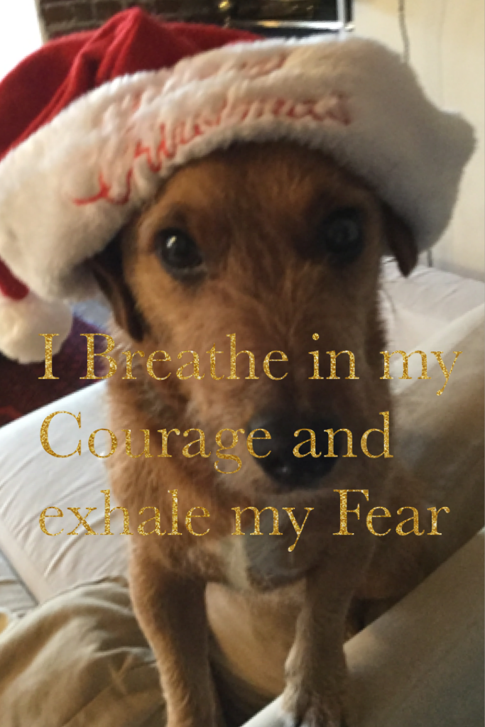 I Breathe in my Courage and exhale my Fear. Hope you like it I might try to post more soon and do more quotes! 