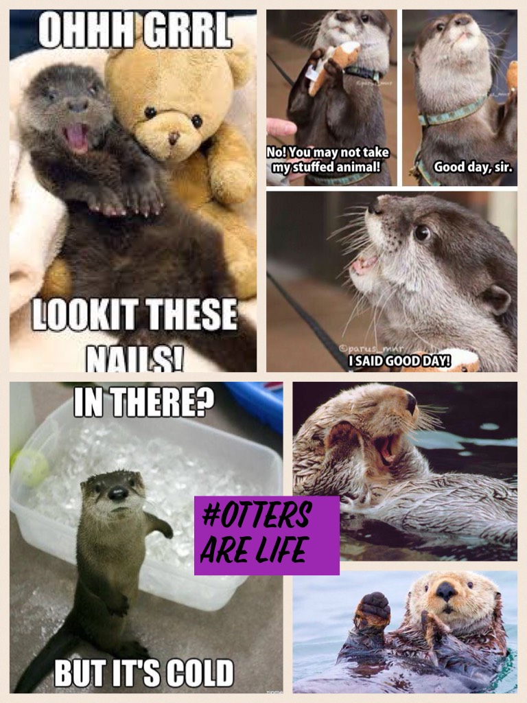 #otters are life