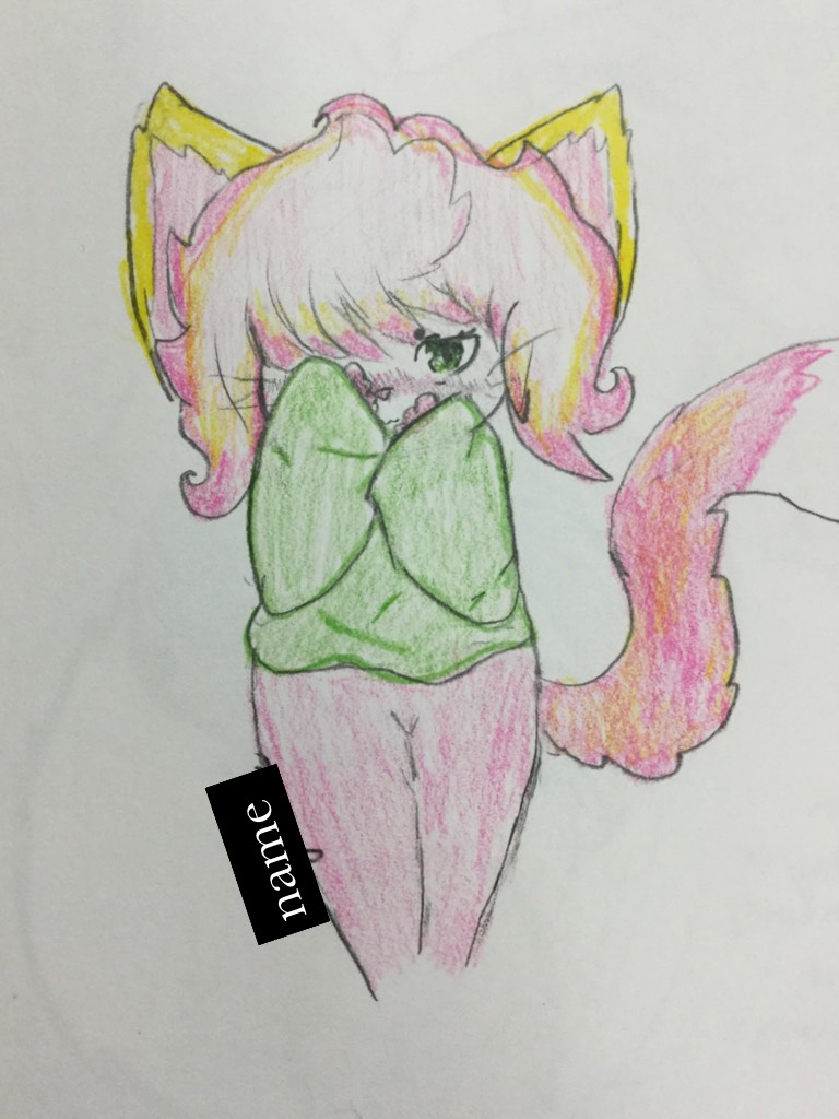 I drew this cat and her name is cherry and yes, I blurred my name for persona reasons :))