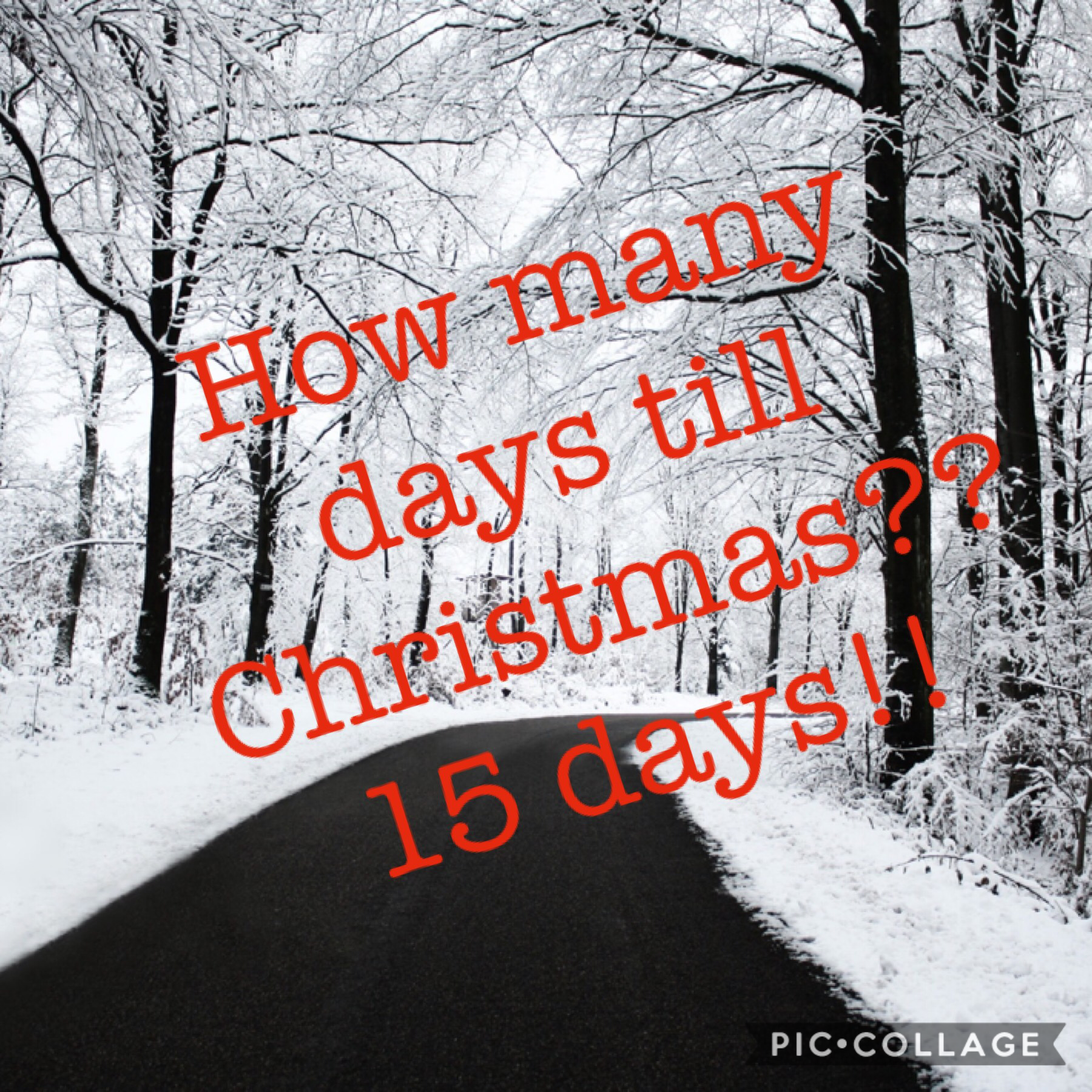 We have 15 days till Christmas!!  I am sooo excited!❤️