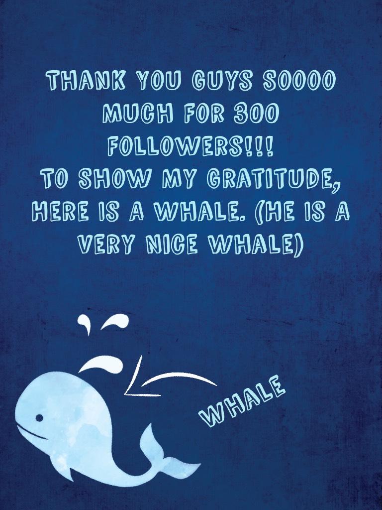 🐳🐋 Thanks For 300 Followers! 🐋🐳