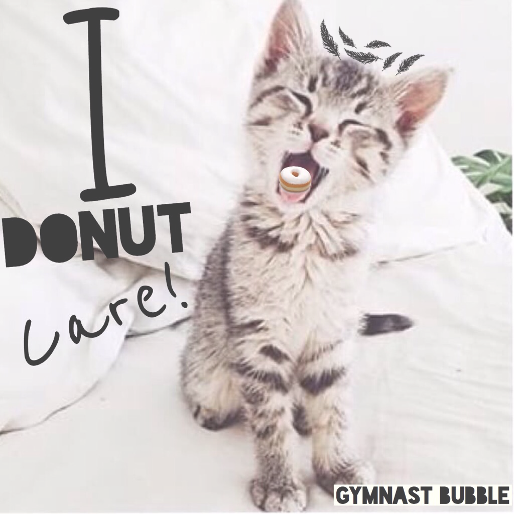 I like this! Maybe you donut care about this post...😹😹😹