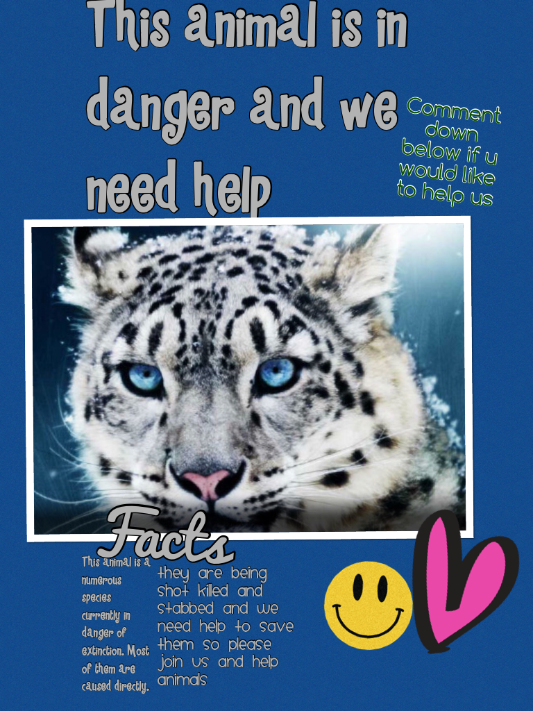 This animal is in danger and we need help