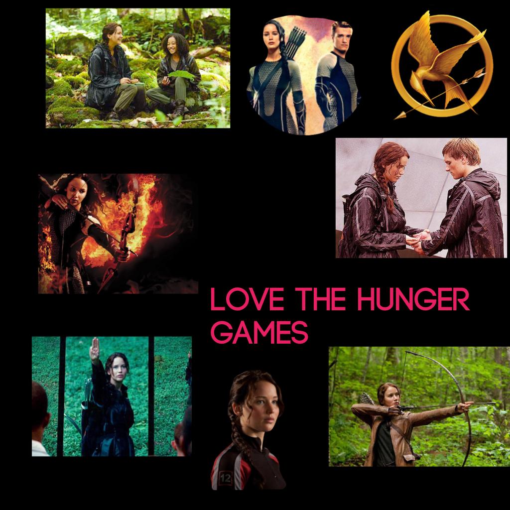 Love the Hunger Games 