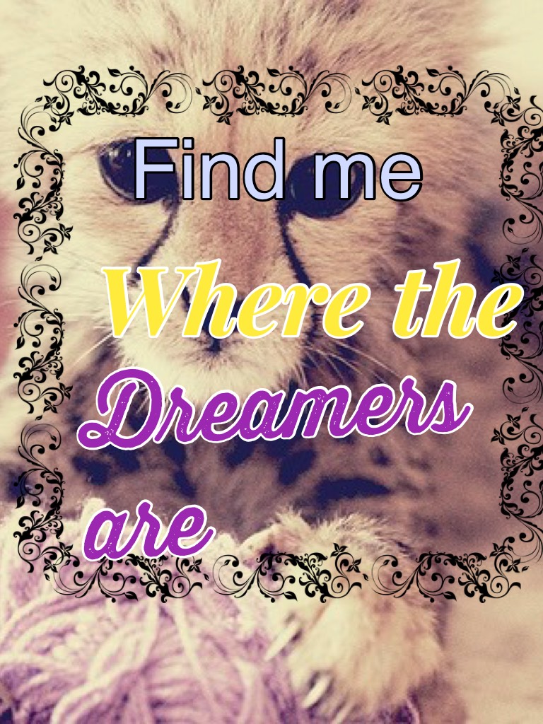 Find me where the dreamers are
