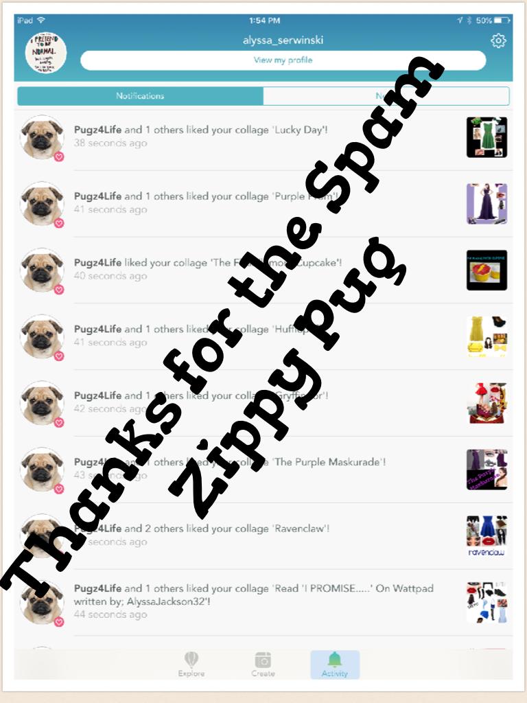 Thanks for the Spam Zippy Pug