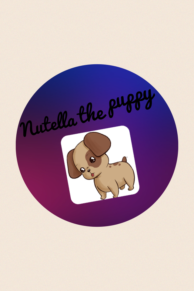 Nutella the puppy