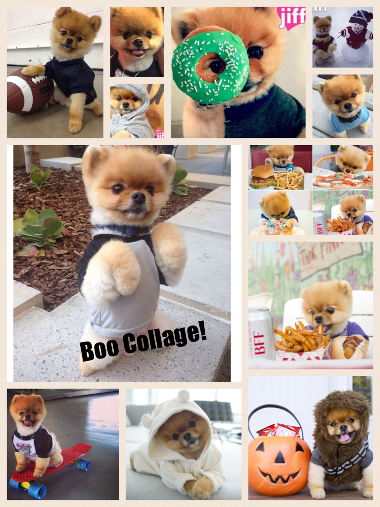 Boo Collage! Like if you think it is cute!👍🏻
